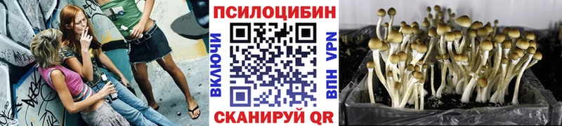 купить закладку ссылка на мегу ССЫЛКА Псилоцибиновые грибы мухоморы Апатиты